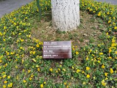 -邓小平故里