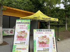 -合肥野生动物园