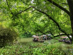 -西溪国家湿地公园