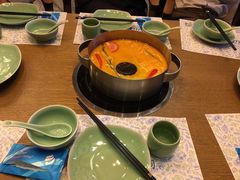-海桐
