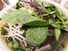 -鹏牛肉河粉