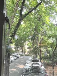 -南京医科大学友谊整形外科医院