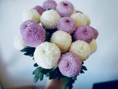-荷花泰菜(东方新天地店)
