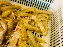 -海蓝海鲜馆(五四北店)