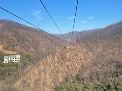 -栾川竹海野生动物园