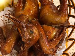 乳鸽-点都德(盘福楼店)