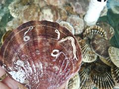 -四海鲜渔家菜(黄金海岸店)