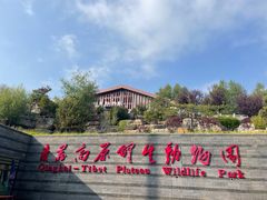 -青藏高原野生动物园