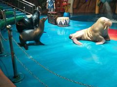 -烟台海昌鲸鲨海洋公园