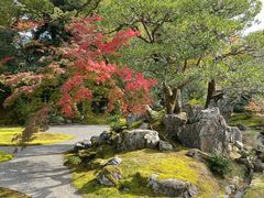 -醍醐寺