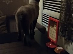-吱咖啡西式简餐