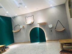 -飞行喵MR PILOT|猫舍·猫咖(静安大融城店)