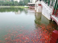 -西海子公园
