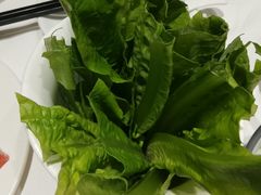 油麦菜-凯鸽火锅城(五部迎宾东路店)