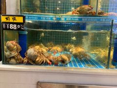 -鲜鲜·鲅鱼圈海鲜(于洪店)