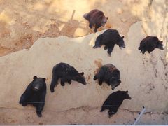 -泉州海丝野生动物世界