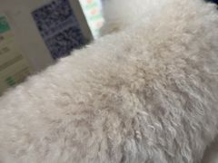 -海门爱心宠物医院