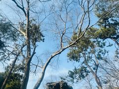 -拙政园