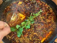 -鸿顺老铁锅美蛙鱼府(解放碑店)