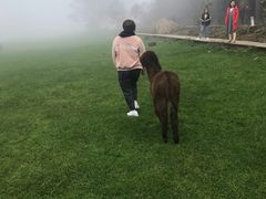 -武陵山森林公园