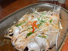葱油蒸鲈鱼-南拳十三姨·潮汕砂锅粥(世纪金源店)