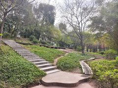 -晓港公园