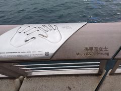 -星光大道