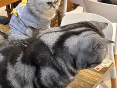 -小时光咖啡馆(北锣鼓巷店)