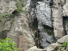 -王顺山国家森林公园
