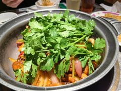 -禄婶鸡煲·打边炉