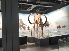 -辽宁古生物博物馆