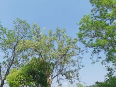 -石塘人家