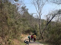 -青龙山国家森林公园