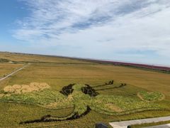 -红海滩国家风景廊道