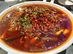 -庆合府重庆大排档(紫都城店)