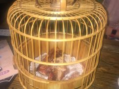 -胡桃里音乐酒馆(环亚凯瑟琳广场店)