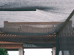 -三垟湿地