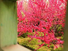 -石岛赤山风景区