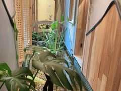 -邈墨茶馆(凤起路店)