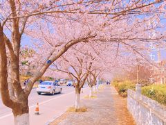 -青岛大珠山景区