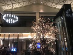 -成都安仁福朋喜来登酒店