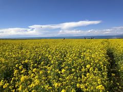 -青海湖国家重点风景名胜区