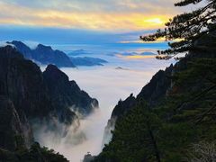 -黄山风景区