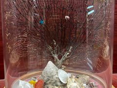 -青岛贝壳博物馆