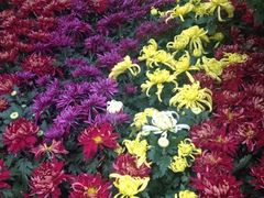 iphone_upload_pic-迎泽公园