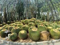 -深圳仙湖植物园