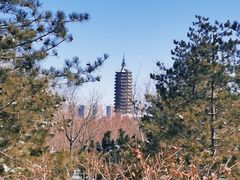 -西海子公园