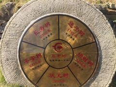 -千年银杏谷文化旅游区