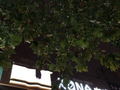 -安琳acKONA咖啡(市南店)