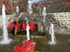 -少华山国家森林公园